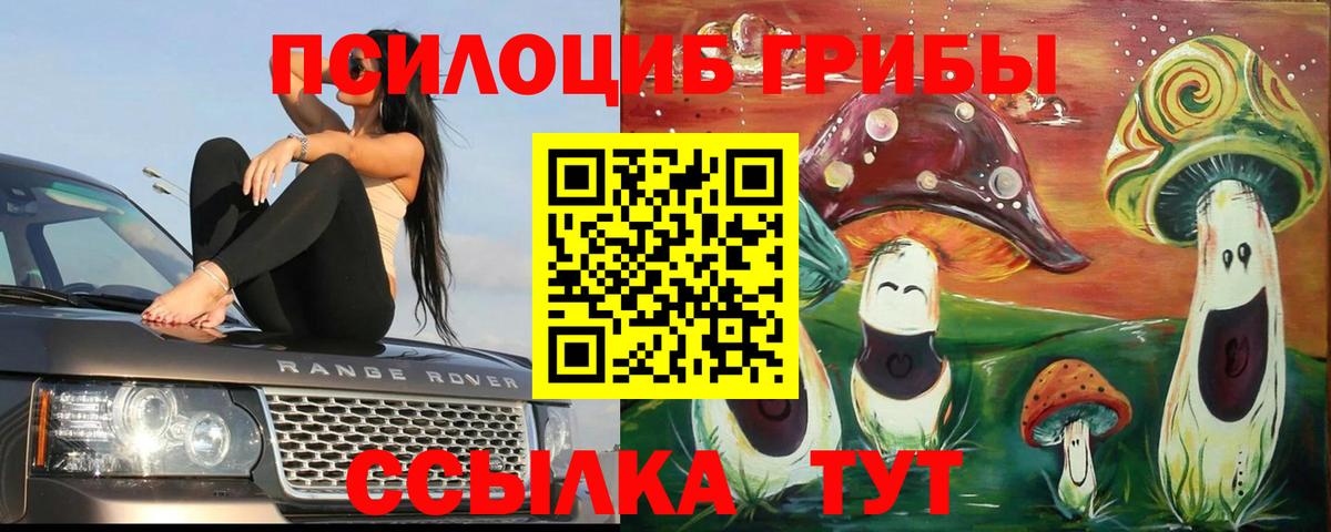 Янаул  Псилоцибиновые грибы MAGIC MUSHROOMS  Вход с VPN 